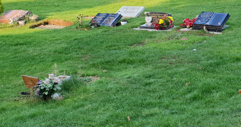Read more about the article Cemetery Mitigation